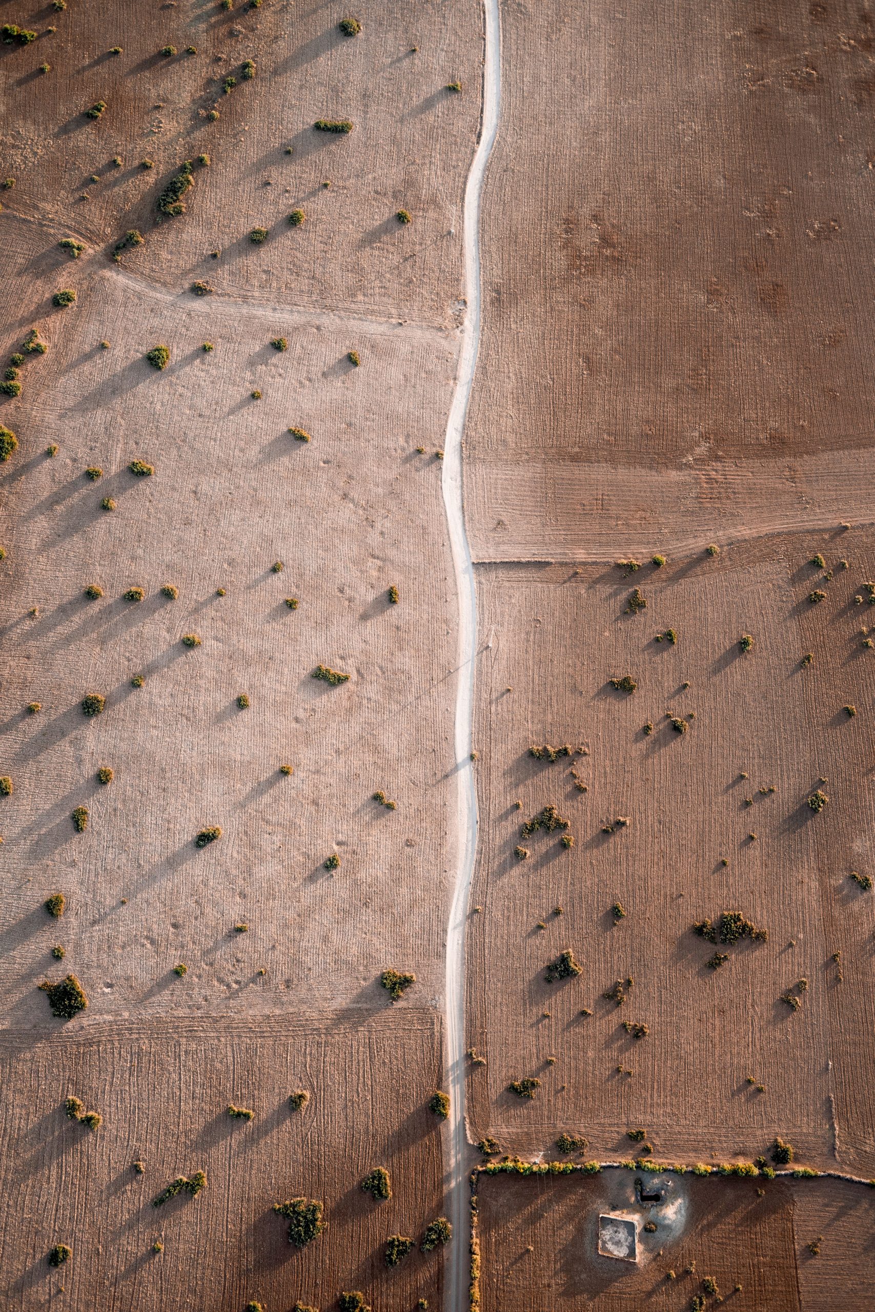 Road heading through the desert