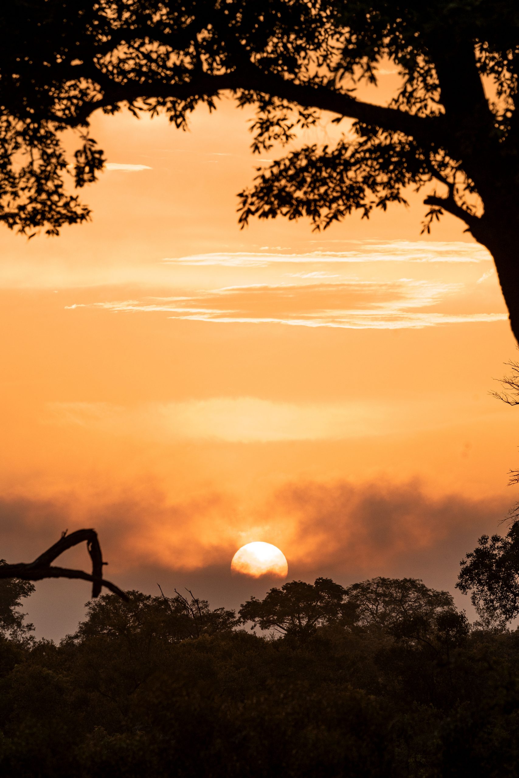 Por de sol na África do Sul